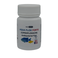 Fish Flox 500 - 30 Capsules - Happy Minutes Easy Shopping