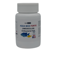 Fish Mox 500mg - 100 count - Happy Minutes Easy Shopping