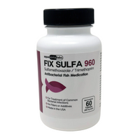 Fish Sulfa 960mg 60-Tablets - Happy Minutes Easy Shopping